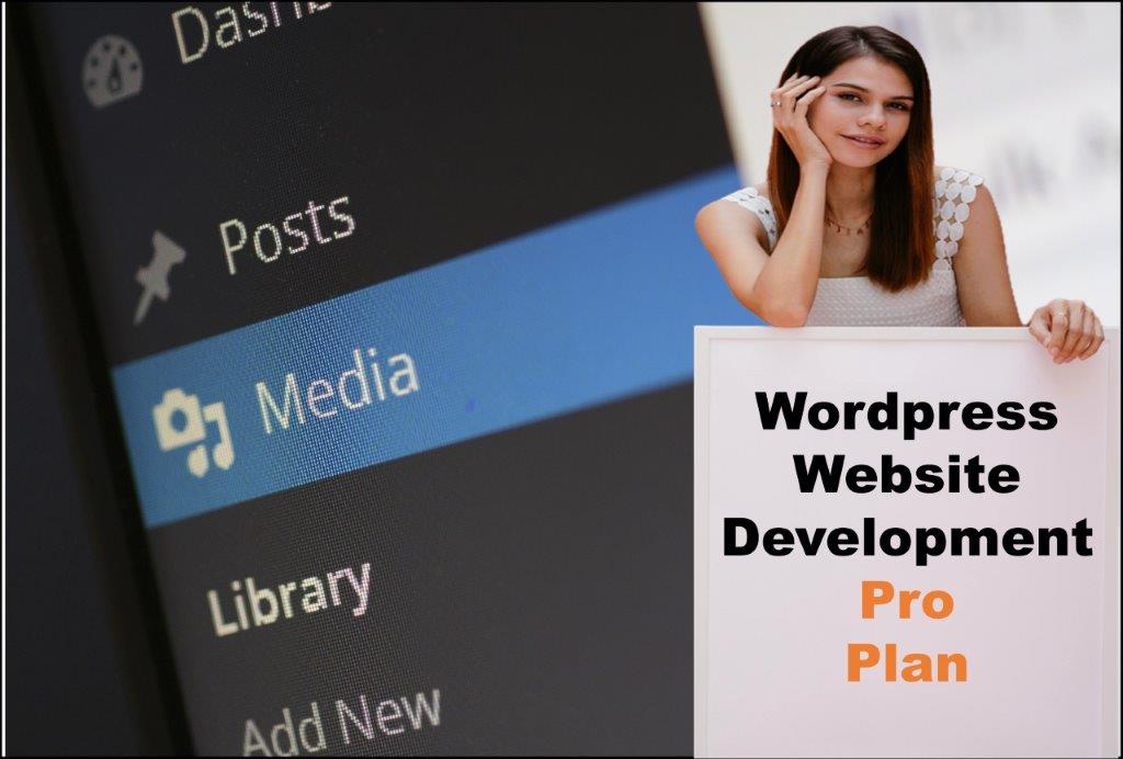wordpress website designing in Jefferson City Missouri